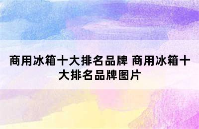 商用冰箱十大排名品牌 商用冰箱十大排名品牌图片